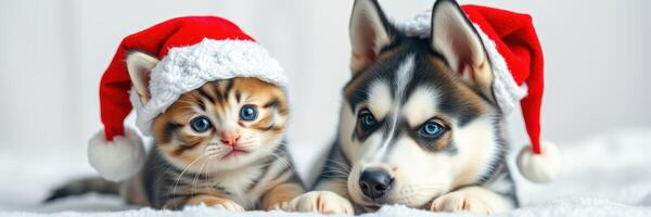 Cute puppy and kitten wearing Santa hats celebrate Christmas together in a cozy indoor setting with soft lighting photo