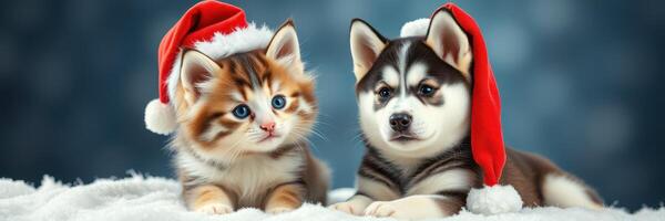 Cute kitten and puppy wearing Santa hats pose together on a snowy background for the holiday season photo