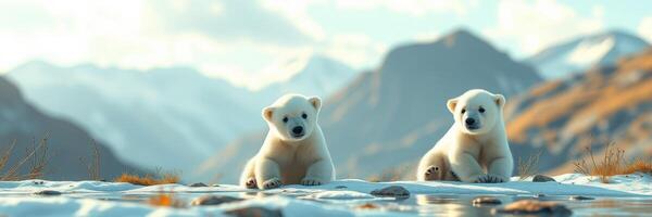 Two polar bear cubs play on a snowy landscape with mountains in the background during the late afternoon sun photo