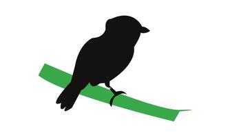 African broadbill bird Silhouette Design vector