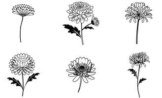 Floral Pattern and Background Bundle vector