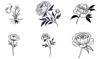 Vintage Botanical Pattern Pack vector