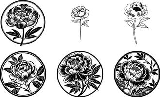 Detailed Floral Motifs and Icons vector