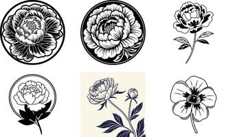Modern Floral Elements vector