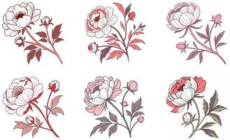 Beautiful Flower Motifs Collection vector