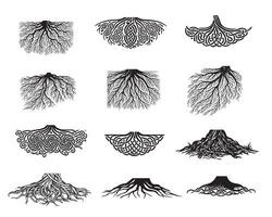 Tree Roots Silhouette Collection Root Design Illustration vector