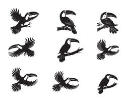 Toco Toucan Bird Art Collection - Silhouette Design Illustrations vector