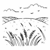 Blooming lavender field under a summer sky concept as A beautiful lavender field in full bloom under the bright summer sky offering a clean and fragrant background for business pre Dynamics vector