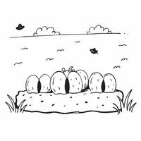 Pumpkin patch under a clear autumn sky concept as A picturesque pumpkin patch under a clear autumn sky capturing the essence of Thanksgiving perfect for business presentations need Dynamics vector