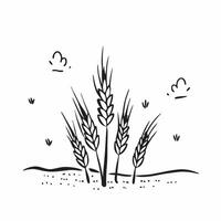 Simple flat illustration as Golden hour over a serene meadow with gentle hills concept as A tranquil scene of a meadow with gentle rolling hills bathed in the golden hour li Dynamics Set 37 vector