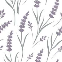 Soft summer seamless pattern with delicate lavender blooms and light airy textures for a calming effect concept as Calming summer pattern with lavender blooms and soft airy texture Dynamics vector