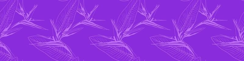 Elegant purple bird of paradise flower pattern. Subtle line art design perfect for textile prints, wallpaper, or website backgrounds. Evokes tranquility and tropical vibes. vector