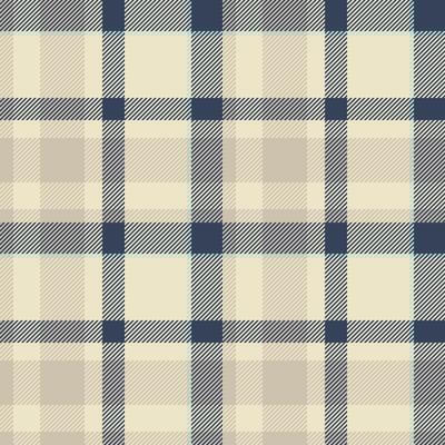 Female seamless tartan, expressive plaid check fabric. Classy background pattern textile texture in light and blue colors.