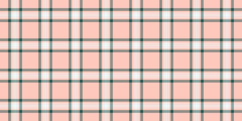 Cowboy fabric plaid background, ethnic textile pattern seamless. Dogtooth texture tartan check in light and stone grey colors.