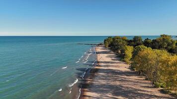 Aerial view of beach with trees and ocean. A scenic aerial view of a sandy beach bordered by lush trees and calm ocean waters under a clear blue sky. video