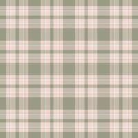 Elegant sage green and blush pink plaid pattern. Perfect for textile design, website backgrounds, or fashion projects. Subtle yet stylish, this seamless texture offers versatile design applications. vector