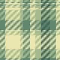 Elegant green and beige plaid pattern. Perfect for textile design, wrapping paper, or website backgrounds. vector