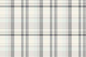 Inspiration texture plaid , advertisement fabric pattern check. Yuletide seamless textile background tartan in white and grey colors. vector