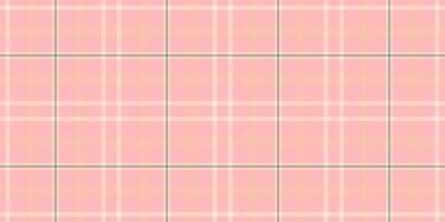 Expressive tartan check plaid, workshop pattern textile . Heritage seamless background texture fabric in light and pastel colors. vector