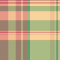 Picnic texture textile , ribbon pattern tartan check. Thread seamless fabric background plaid in red and pastel colors. vector