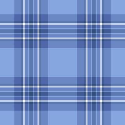 Intense texture background check, horizontal pattern textile. Oriental seamless tartan plaid fabric in blue and light colors.