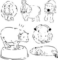 Line art of a hippo in many poses. vector