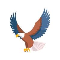 Illustration Eagle soaring vector