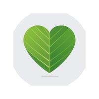 Heart shaped leaf vector