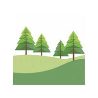Pine trees on slope vector