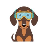 Dachshund with Goggles vector