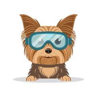 Yorkshire Terrier with Goggles vector