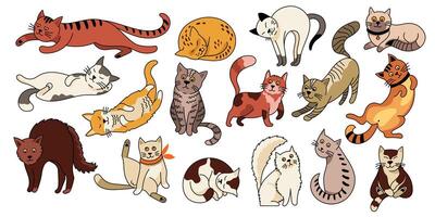 Cute pet cat. Cartoon funny kittens with different emotions and cat poses, adorable outline doodle kitten characters in various actions. colorful cats set vector