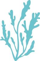 Light blue seaweed with numerous branches flourishing against a white background, creating a perfect element for marine themed designs and projects that celebrate oceanic beauty vector