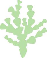Stylized seaweed featuring light green leaves flourishes against a pure white background, creating a design that embodies simplicity and elegance while reflecting natural beauty vector