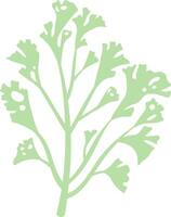 Light green sprig with delicate small leaves growing upwards against a clean white background, embodying minimalist design and evoking themes of nature, spring, and growth vector