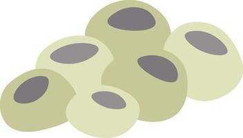 Lotus seeds with their characteristic dark spots creating a visually appealing pattern, perfect for representing healthy eating, traditional medicine, or Asian cuisine vector