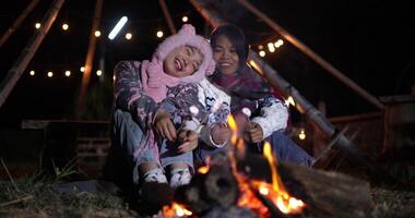 Handheld shot, Happy two women in warm clothing sit roasting marshmallows over a campfire and chatting happily on a cold night. Winter weekend activity. video
