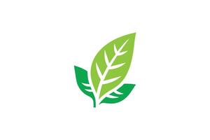 A green leaf logo on a white background vector