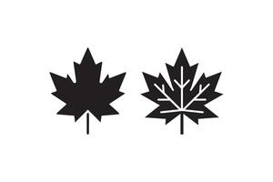 Two black and white maple leaves on a white background vector