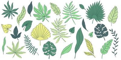 tropical green leaves set. monstera, palm, fern, ivy in various shapes and sizes. simple flat style. illustration. Perfect for prints, packaging, invitations, branding, backgrounds, textile vector