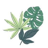 tropical green leaves composition. monstera, palm, ivy in various shapes and sizes. simple flat style. illustration. Perfect for prints, packaging, invitations, branding, backgrounds, textile vector