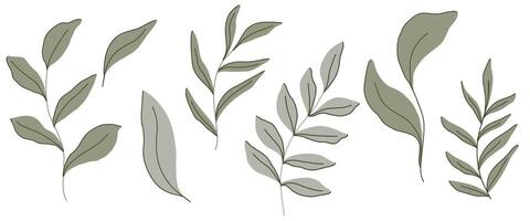 Hand drawn botanical set of green leaves in minimalist modern style. Soft muted colors and delicate lines. Ideal for branding, packaging, textile design, wedding invitations, digital prints, decor vector