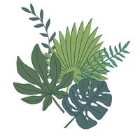 tropical green leaves composition. monstera, palm, fern in green colors. simple trendy flat style. illustration. Perfect for prints, packaging, invitations, branding, backgrounds, textile vector