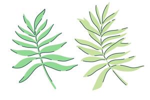 tropical palm green leaves set of n various shapes in green colors. simple flat style. illustration. Perfect for prints, packaging, invitations, branding, backgrounds, textile vector