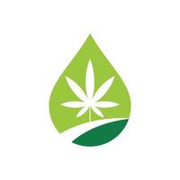 Healthcare Drop Water Cannabis Leaf Illustration Design. EPS 10. vector