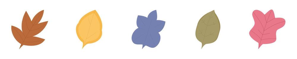 illustration of five colorful leaves in different shapes, representing nature and the changing seasons. vector
