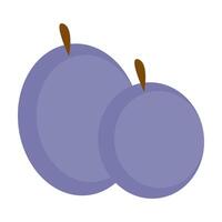 illustration of two plums, symbolizing fresh and healthy fruit with a simple design. vector