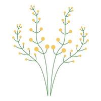 illustration of yellow berries on green branches, ideal for botanical, nature, and decor projects. vector