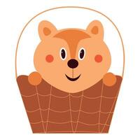 of a cute bear peeking out of a wicker basket with a smile. vector