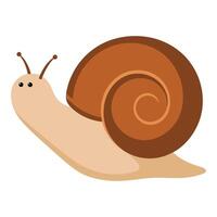 Snail Icon in Flat Design vector